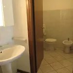 Pineta Apartament